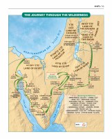 Additional picture of The Book of Torah Timelines Charts and Maps English [Paperback]