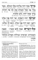 Additional picture of Schottenstein Edition Interlinear Shabbos Yom Tov and Weekday Siddur 2 Volume Set Pocket Size Antique Leather Blue Ashkenaz