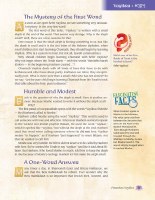 Additional picture of The Weekly Parashah Sefer Vayikra Jaffa Family Edition [Hardcover]