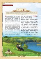 Additional picture of The Illustrated Tehillim Mid Size [Hardcover]