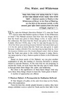Additional picture of Rav Druck on Chumash Devarim [Hardcover]