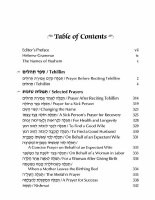 Additional picture of Artscroll Tehillim Large Type Hebrew Taamin and Kavanot Hashem Gray [Hardcover]