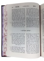 Additional picture of Noam Elimelech [Hardcover]