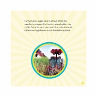 Additional picture of From Sugar Cane to Candy [Hardcover]