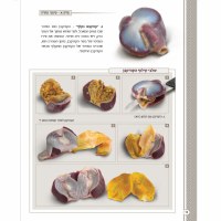 Additional picture of Maros Chullin [Hardcover]