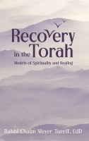 Additional picture of Recovery In The Torah [Hardcover]