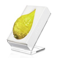 Additional picture of Lucite Esrog Box in Stand Clear 4.5" x 8.5"