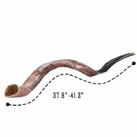 Additional picture of Original Genuine Israeli Yemenite Shofar Extra Extra Large 37.8" - 41.3"