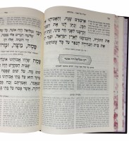Additional picture of Haggadah Shel Pesach Mesivta Hebrew [Hardcover]