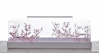Additional picture of Lucite Rectangle Cake Dome Cherry Blossom Design Small Size Pink 10"