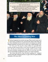 Additional picture of Precious Moments with Rav Chaim [Hardcover]