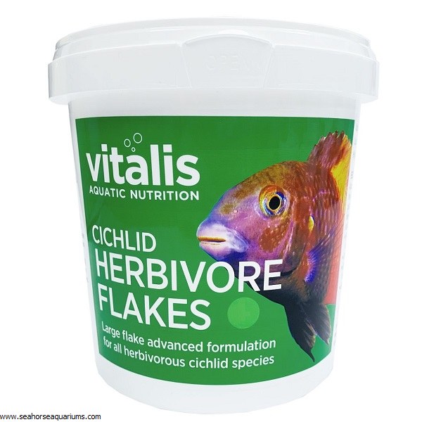 cichlid herbivore