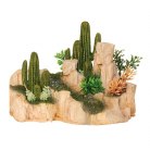 Arizona Stone with Cactus Med