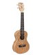 Ukulele Conc Kahua Ash