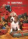 35 Christmas Songs and Carols