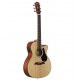Guitar Ac/El Alvarez AF30CE