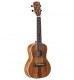 Ukulele Conc Alvarez AU90C LN
