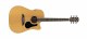 Guitar Ac/El Alvarez RD26CE