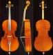 Cello 1/2 Satori VC201 Used