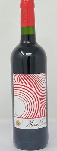 Musar Jeune 2022 Red Blend