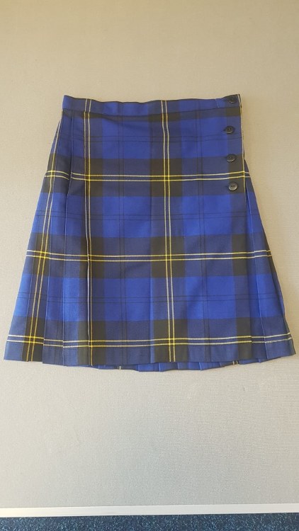 Coombe Dean Skirt W40" L22"