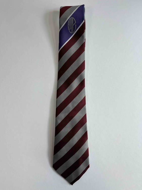 Eggbuckland Tie Purple- Heybro