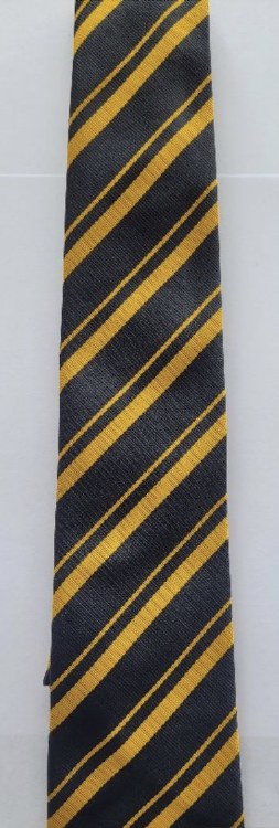 Hele's Year 7 Tie
