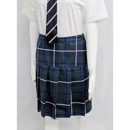 Ivybridge Skirt 20R