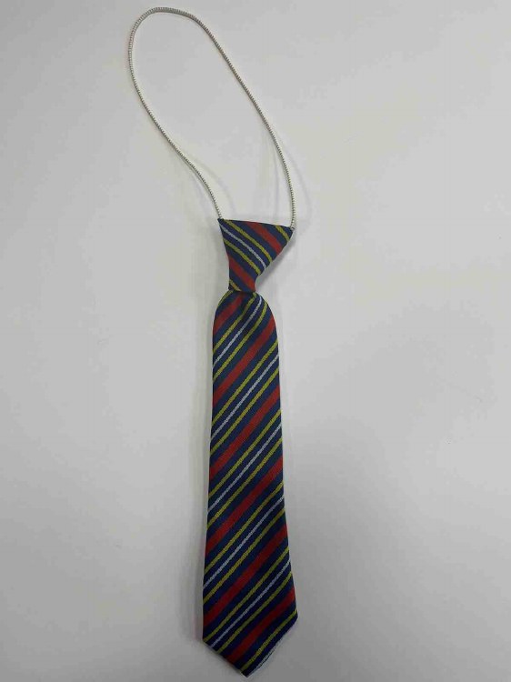 Manadon Vale elastic tie