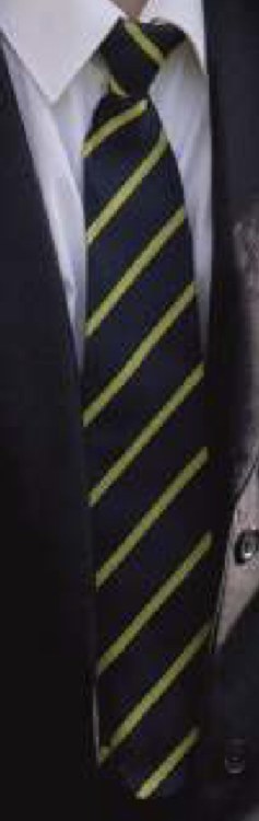 Plymstock Tie Yellow