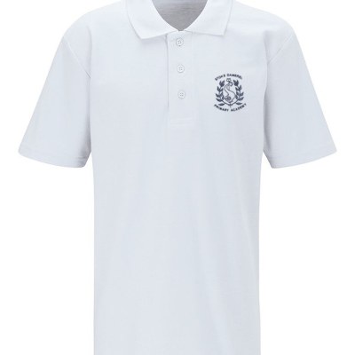 Stoke Damerel Polo 7/8