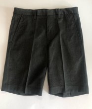 Senior Day Short Grey 30"