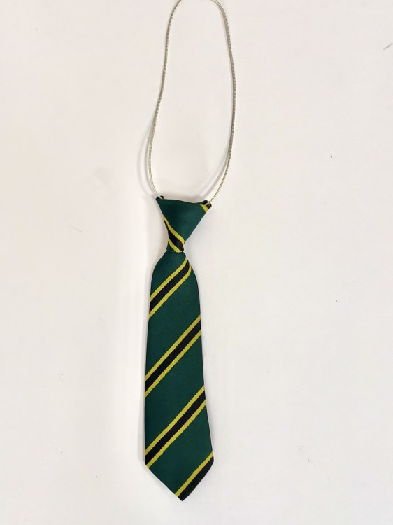 Widey Court School Elastic Tie