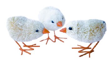 Easter Chicks - wire legs