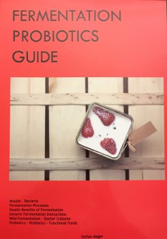 Fermentation Probiotics Guide