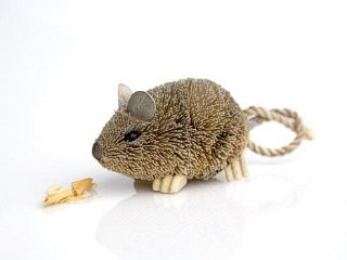 Animal Field Mouse