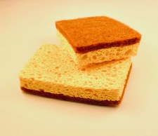 Dish Sponge Cellulose & Coconut