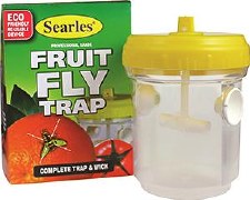 Fruit Fly Trap with wick
