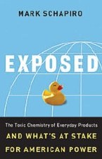 Exposed and What's At Stake - M Schapiro