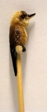 Kookaburra Pencil
