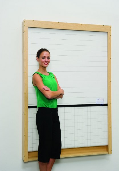 Wall Mounted Rollerboard