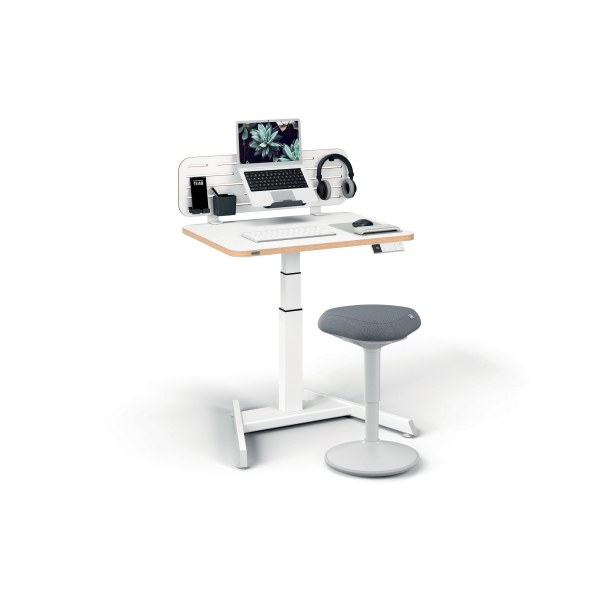 Leitz Ergo Small Electric Sit Standing Desk with Stand-Up Reminder