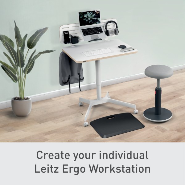 Leitz Ergo Small Sit Standing Desk