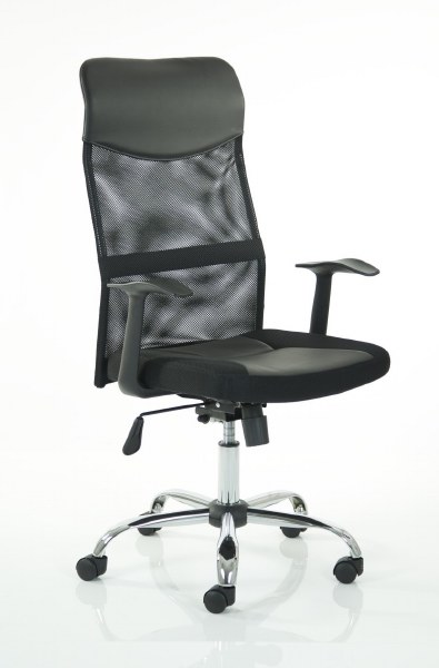 Vegalite Executive Mesh Back Chair