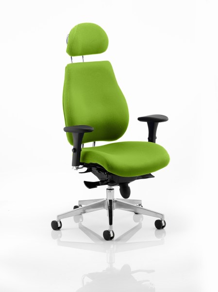 Chiro Plus 'Ergo' Posture Chair with Arms and Headrest Myrrh Green