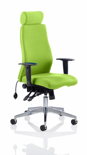 Onyx Posture Chair with Headrest Myrrh Green Fabric