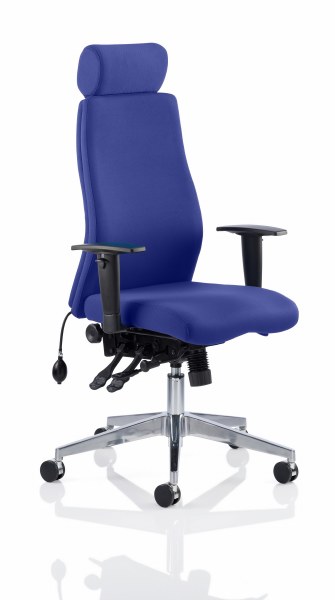 Onyx Posture Chair with Headrest Stevia Blue Fabric