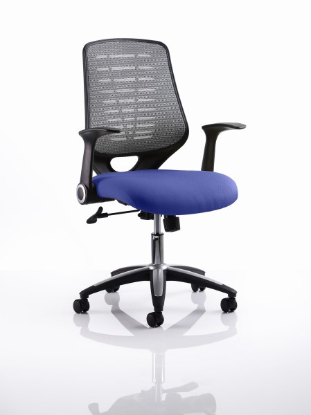 Relay Mesh Back Task Chair Stevia Blue Seat Silver Back