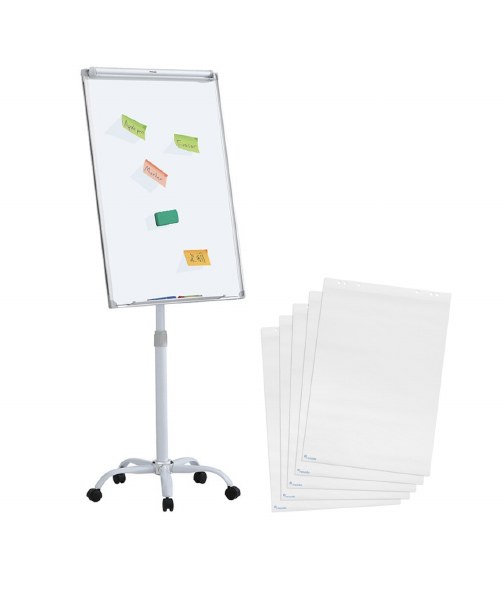 Economy Mobile Magnetic Flipchart Easel