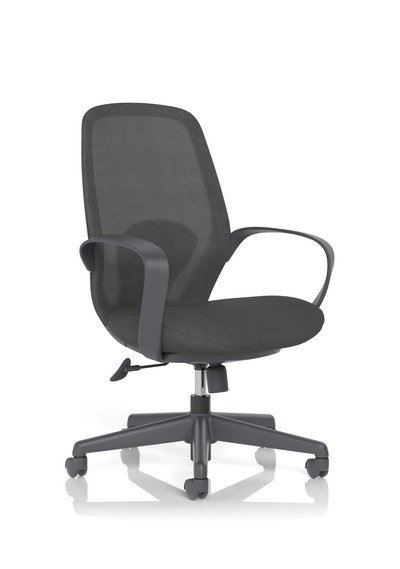 Ariel Mesh Task Chair